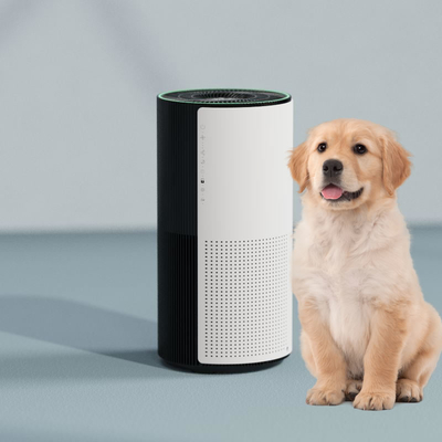 Animal Dander Removal Pet Air Purifier For Cat Allergies Absorption Hair